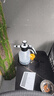 大衛噴壺澆花噴霧器氣壓式噴水壺壓力酒精消毒家用清潔園藝噴壺K29 曬單實(shí)拍圖