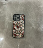 CASETIFY 復古花卉 適用于iPhone17/16/15  Air/Plus/Pro/Max 蘋(píng)果手機殼 透明黑框 iPhone 16 Pro Max 曬單實(shí)拍圖