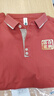 鑫俊達業(yè)翻領(lǐng)polo衫工作服定制企業(yè)印logo公司團體廣告文化衫團建T恤女男 【親膚冰感 | 紗支細膩】蔥綠色 2XL 曬單實(shí)拍圖