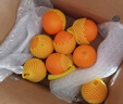 京鮮生 Vitor澳橙澳大利亞臍橙 4斤裝 單果180g起 新鮮水果中秋禮盒 曬單實(shí)拍圖