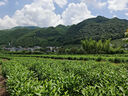 美素佳兒（Friso）皇家美素嬰幼兒配方奶粉荷蘭原裝進(jìn)口比800克便攜 3段 新國標(biāo) 400g 6罐 曬單實(shí)拍圖