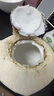 佳沃 JOYVIO泰國進(jìn)口椰青香水椰子 6個(gè)裝 中果800g+ 水果 源頭直發(fā) 中秋禮盒 曬單實(shí)拍圖
