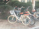 飛鴿（FLYING PIGEON）自行車(chē)成人通勤車(chē)自行車(chē)學(xué)生單車(chē)成人自行車(chē)通勤自行車(chē)女士自行車(chē) 高配奶油米|6速|(zhì)輻條輪+禮包 24寸適合150-170cm 曬單實(shí)拍圖