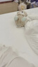 費(fèi)雪（Fisher-Price）嬰兒玩具安撫玩偶哄睡生日禮物-音樂安撫酣睡小水獺GHL41 曬單實(shí)拍圖