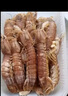 海速達 皮皮蝦 凈重2斤40-50只 大號滿(mǎn)肉鮮活熟凍瀨尿蝦爬子蝦婆姑海鮮 曬單實(shí)拍圖