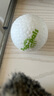 貴為（GiGwi）仿真發(fā)聲小鳥逗貓玩具小貓咪幼貓自嗨解悶神器逗貓棒 曬單實拍圖