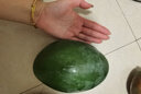 集南鮮 凱特芒果 四川攀枝花芒果當(dāng)季大青皮黃皮大芒果新鮮水果整箱 含箱10斤  單果500g起  凈重9斤 曬單實拍圖