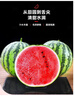 現(xiàn)摘現(xiàn)發(fā)2k西瓜當(dāng)季手剝薄皮小糖丸西瓜新鮮水果冰糖子小西瓜 2-3斤（1-2個） 曬單實拍圖