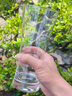 肖特圣維莎（SCHOTT ZWIESEL）德國進(jìn)口精釀啤酒杯 無鉛水晶啤酒杯 專業(yè)啤酒杯收腰基本款系列 1只盒裝-基本型啤酒杯451ml 曬單實拍圖