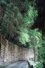 松下S9（18-40mm F4.5-6.3）套機(jī) （Panasonic）全畫幅微單 實(shí)時(shí)Lut 濾鏡直出 連接app極速分享-橄欖綠 曬單實(shí)拍圖