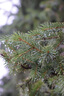 適馬（SIGMA）18-50mm F2.8 DC DN｜Contemporary 半畫幅微單 1850恒定大光圈標(biāo)準(zhǔn)變焦鏡頭 （索尼E卡口） 曬單實(shí)拍圖