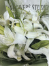 芬騰兒童睡衣女童抑菌純棉秋季卡通長(cháng)袖中大童家居服 曬單實(shí)拍圖