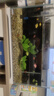 森森 超白玻璃小魚(yú)缸HWK-600P裸缸款水草缸金魚(yú)缸小型水族箱水草缸  曬單實(shí)拍圖