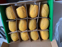佳沛（zespri）新西蘭 陽(yáng)光金果12粒單果約122-146g 獼猴桃 中秋水果禮盒 曬單實(shí)拍圖