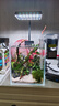 尼奧光 NEO-HELIOS魚(yú)缸燈水草燈LED燈S3proRGB植物光譜 8W尼奧S3【適用20-30魚(yú)缸】 曬單實(shí)拍圖