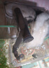 YEE魚缸過濾器增氧泵靜音壁掛式外置除油膜小型迷你凈水器循環(huán)水泵 8W強(qiáng)效過濾/除油膜款/適用于50cm以下魚缸 曬單實(shí)拍圖