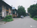 CinvaiKrose包包女包編織托特包女2025新款沙灘單肩腋下包七夕情人節(jié)禮物 卡其色 曬單實(shí)拍圖