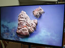 技嘉（GIGABYTE）27吋 SSIPS UHD顯示器 160Hz 1ms HDR400 HDMI2.1 G-SYNC內(nèi)置音箱KVM戰(zhàn)術(shù)電競Type-c M27UP 曬單實拍圖