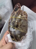 梭子蟹鮮活特大野生舟山大螃蟹海鮮新鮮冷凍海蟹水產(chǎn)飛蟹白蟹 【大號(hào)梭子蟹】7-9兩/只凈重5斤 曬單實(shí)拍圖