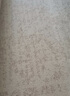 卡提菲亞無膠無甲醛防水抗污抑菌輕奢現(xiàn)代客廳臥室地毯 圣地 2.4*3.5米 曬單實拍圖