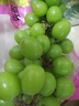 正宗云南陽(yáng)光玫瑰葡萄脆甜青提無(wú)籽晴王葡萄新鮮現摘葡萄尚進(jìn) 凈重3斤一級果 （單果8-10g） 曬單實(shí)拍圖