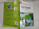 寶葫蘆的秘密  小學(xué)版張天翼原著(zhù) 兒童文學(xué)名家作品精選 名師教你讀經(jīng)典 小學(xué)語(yǔ)文課外閱讀經(jīng)典叢書(shū) 曬單實(shí)拍圖