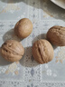 新邊界（new boundaries）薄皮核桃1500g 新疆特產(chǎn)阿克蘇核桃堅(jiān)果炒貨手剝原味量販 曬單實(shí)拍圖
