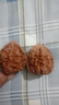 青皮文玩核桃野生麻核桃四座樓獅子頭白獅子管帽南疆石滿天星三菱 青皮 店主隨緣款 【發(fā)2個(gè)】隨緣款一對(duì) 曬單實(shí)拍圖
