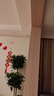 螢石室內(nèi)4K AI標(biāo)準(zhǔn)版云臺 800萬極清 室內(nèi)智能無線監(jiān)控器家用攝像頭雙向通話 手機遠程 自動巡視 曬單實拍圖