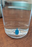 BlueBottleCoffee藍(lán)瓶咖啡 Kinto運(yùn)動(dòng)水杯 可拎提杯子冷飲男女士水杯 Kinto運(yùn)動(dòng)水杯 480ml 曬單實(shí)拍圖