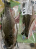太湖?！緹o抗或有機認證 淡水鱸魚】孕婦嬰兒童食輔 鮮活三去魚類水產(chǎn) 【無抗鱸魚】200g/條*3條 曬單實拍圖