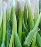 良知農(nóng)哥【順豐】東北新鮮小蔥 蘸醬蔬菜飯包小菜 4斤 送醬 曬單實(shí)拍圖