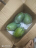 四川攀枝花凱特芒果9斤新鮮應(yīng)季水果芒果整箱包郵特大青忙果當(dāng)季 9斤 【特大果】單果600g+丨不甜包賠 曬單實(shí)拍圖
