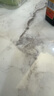滴露（Dettol）洗衣機(jī)清洗劑250ml金裝版檸檬滾筒波輪洗衣機(jī)深度清潔劑除垢殺菌 曬單實(shí)拍圖