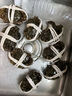 【活蟹】乾澄大閘蟹現貨 全母蟹2.5-2.8兩 8只 鮮活六月黃螃蟹生鮮海鮮禮盒裝 曬單實(shí)拍圖