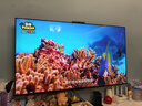 華為Vision智慧屏 5 SE 75英寸 鴻蒙AI搜片MiniLED鴻鵠畫(huà)質(zhì)國(guó)家補(bǔ)貼MateTV同源投屏平板電視機(jī)HD75KULU 曬單實(shí)拍圖