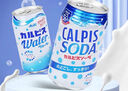 可爾必思日本進(jìn)口CALPIS超大瓶裝原味乳酸菌飲料家庭裝  1.5L*1瓶 曬單實(shí)拍圖
