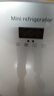 酷寶;COOLBOX迷你小冰箱租房用小型冰箱宿舍冷藏冷凍藥品母乳雪糕一人車載冰柜 雙核數(shù)顯 車家兩用 冷藏款 15L 曬單實拍圖
