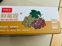 京鮮生國產(chǎn)陽光玫瑰凈重1.8斤單果8-10g 葡萄/提子生鮮水果源頭直發(fā) 曬單實拍圖