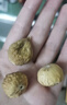梵晟一品無(wú)花果干500g罐裝新疆特產(chǎn)特級(jí)干果泡水煲湯原料即食孕婦零食 曬單實(shí)拍圖