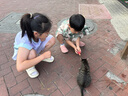 半度閑親子女童速干運動背心套裝夏裝25新款兒童夏季兩件套 元氣紫 170 曬單實拍圖