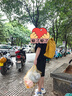 迪卡儂運(yùn)動(dòng)騎行包男生大學(xué)生戶外登山包雙肩包女姜黃色23升-4527559 曬單實(shí)拍圖