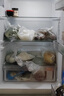 Haier海爾冰箱家用三開(kāi)門(mén)冰箱風(fēng)冷無(wú)霜一新等級能效超薄節能雙開(kāi)門(mén)出租房省電小冰箱以舊換新補貼 【熱銷(xiāo)爆款】219升三門(mén)冰箱節能省電新款上市 曬單實(shí)拍圖