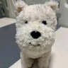 babycare&bctoys兒童毛絨玩具狗電子哈基米寵物玩偶節(jié)日生日禮物西高地犬 曬單實(shí)拍圖