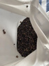 原野春蕎蕎麥枕頭成人學(xué)生枕芯頸椎枕純蕎麥皮殼單人花草枕睡眠枕家用 青色 單只 40cm*70cm 大號(hào)（升級(jí)雙層芯) 曬單實(shí)拍圖