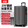 紐曼K33 15吋廣場舞戶外藍(lán)牙拉桿音箱大功率便攜電木吉他民謠樂器音箱演出k歌低音炮地?cái)倲[攤喇叭雙麥 曬單實(shí)拍圖