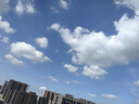 華為WATCH FIT4 智能運動(dòng)手表 超輕薄大屏 潮流運動(dòng) 長(cháng)續航 藍牙通話(huà) 運動(dòng)手表 草木綠 氟橡膠表帶 曬單實(shí)拍圖
