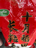 十月稻田 長粒香大米 10斤（東北大米 香米 5公斤/十斤） 曬單實(shí)拍圖