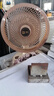 駱駝電風(fēng)扇家用電扇臺(tái)式多功能小型風(fēng)扇學(xué)生宿舍桌面風(fēng)扇可搖頭靜音辦公室桌面臺(tái)扇 米色臺(tái)扇【搖頭/2檔位】 標(biāo)配【1.3米電源線】 曬單實(shí)拍圖
