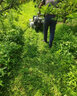 村舍 新款宗申汽油打草機四驅(qū)除草微耕機小型家用碎草還田機割草機 升級【宗申225汽油10P】反轉(zhuǎn)刀 割幅50cm-雙離合雙差速 曬單實拍圖